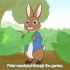 英文版经典童话-《彼得兔的故事》The Tale of Peter Rabbit