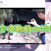 【真白花音】日本萝莉看《会唱歌的小狗