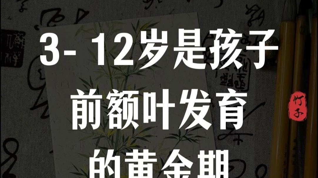 3-12岁是前额叶发育黄金期，用对方法，孩子的逻辑力和情绪管理能力秒杀同龄人
