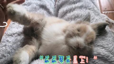 e18f1a96c4bae25a63044ce8001e2536411b75d7.jpg@480w_270h_1c