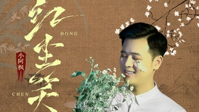 红尘笑曲谱_一骑红尘妃子笑