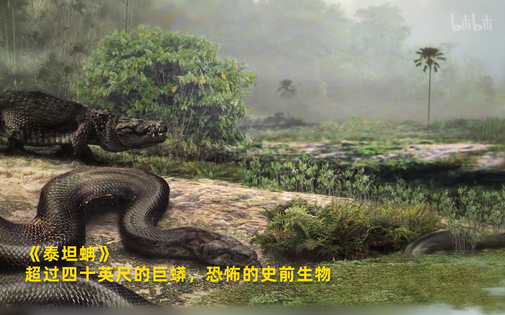 【泰坦蚺】看点2：超过四十英尺的巨蟒，恐怖的史前生物 竖版