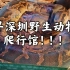 探寻深圳野生动物园爬行馆！总体来说不错！