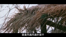 二胡倩女幽魂曲谱_倩女幽魂曲谱(2)