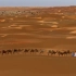沙漠骆驼行进丝绸之路视频