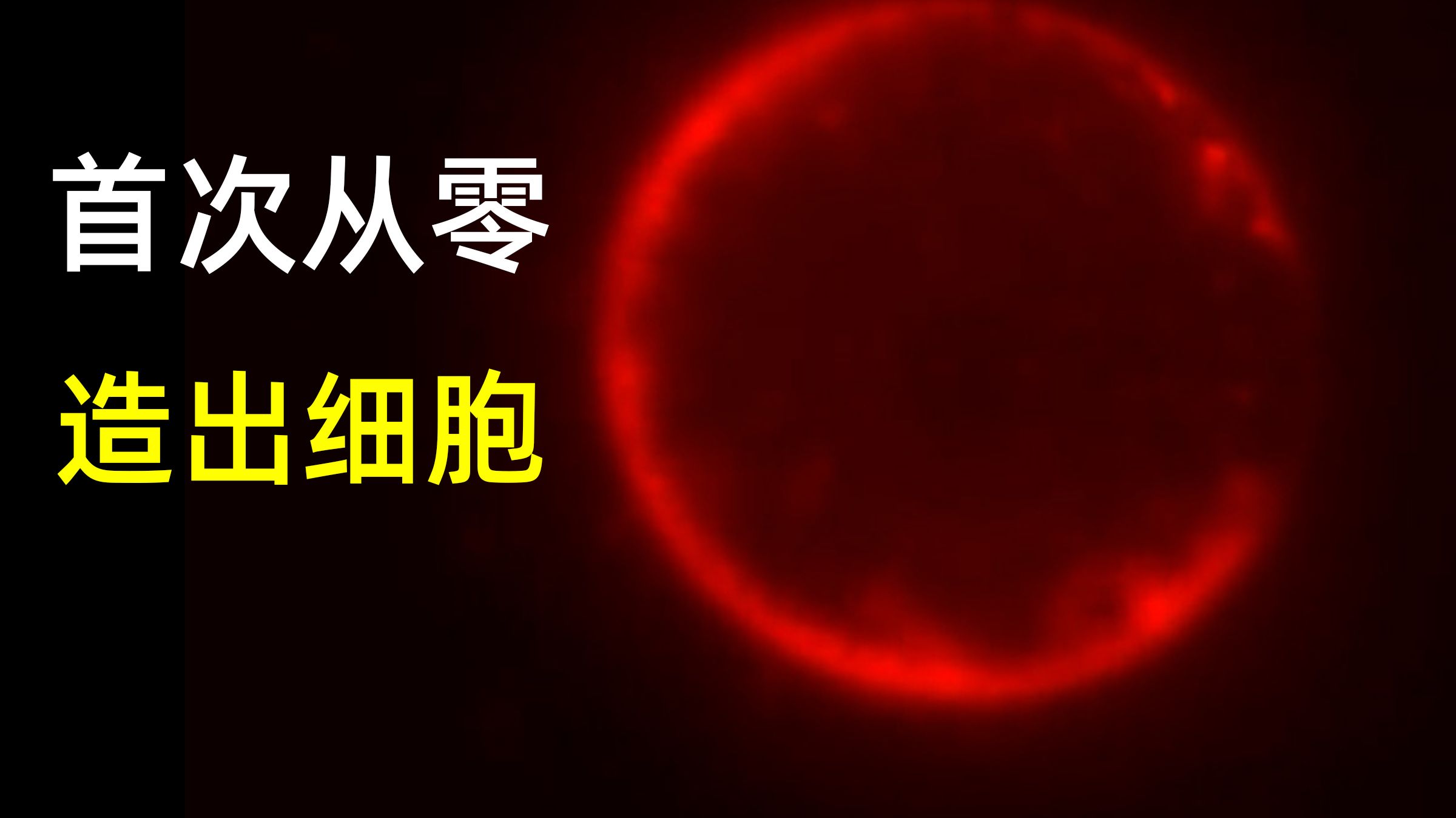 重磅！科学家首次从零造出细胞，具有完整周期那种，【科学前最沿】