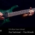 Joe Satriani - Ten Words Guitar Cover