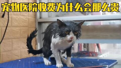 e1f1451a6afb479ec8a0f2973db8c7b0aff66565.jpg@480w_270h_1c