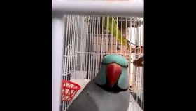 e20a7c84e774103fa99dfbd941a6941b5f60f207.jpg@280w_158h_1c_100q.jpg
