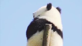 e20fe71640fa8285c657501b14a0c35485841d1e.png@280w_158h_1c_100q.jpg