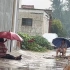 两名村妇因一颗瓜吵架，吵了几小时都不停歇，下雨了打着伞继续吵