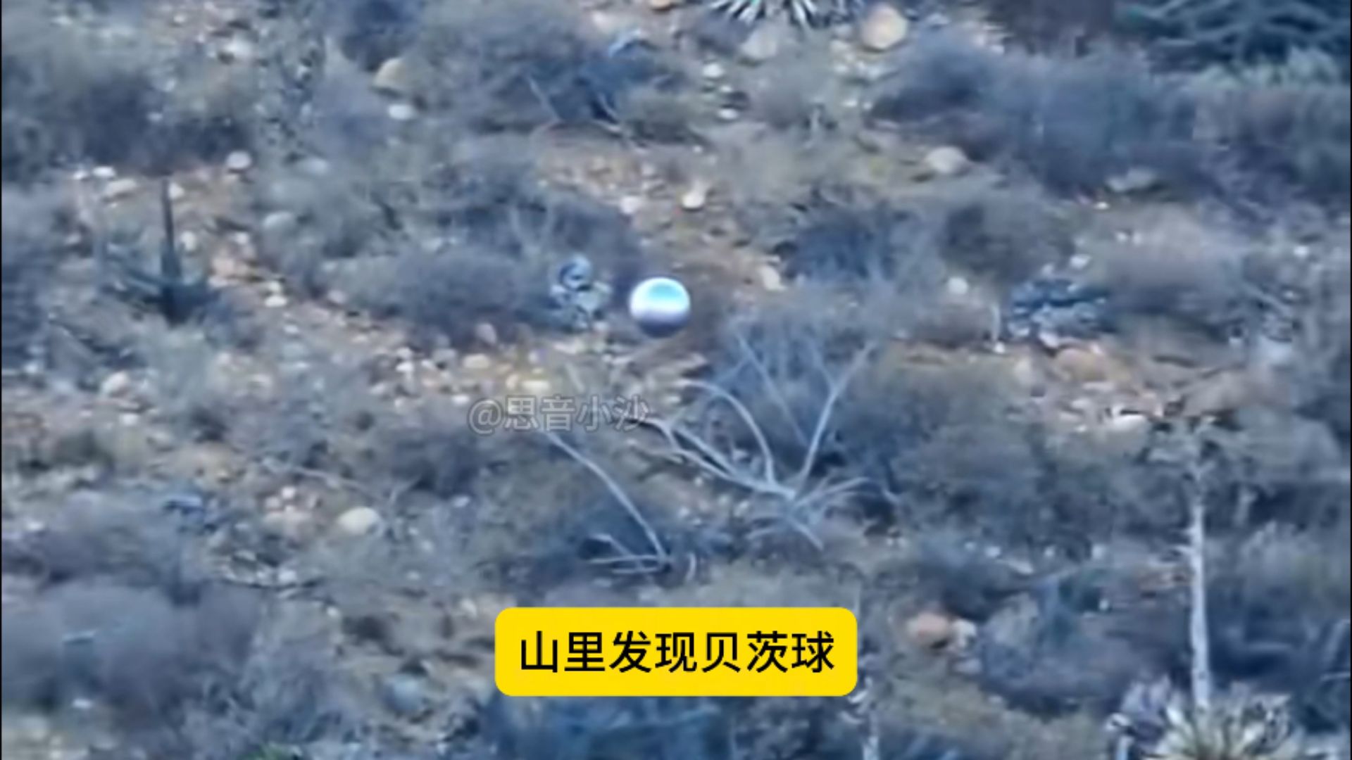 贝茨球 ，我在山上看到了