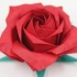 【折纸教程】。一款漂亮的五瓣佐藤玫瑰(｡◕‿‿◕｡)...