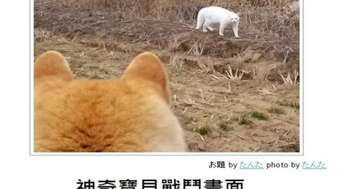 洗澡前和洗澡后的区别 e23e24f1688bfd3c38d58576e591cb42a13c6e9c.jpg@480w_270h_1c