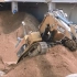 【挖掘机】卡特345大型二手挖掘机装车工作视频