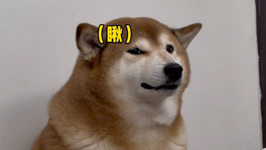 陈八方：白高兴了！！