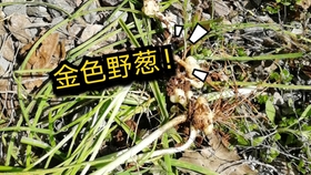 e2516feee9fb14719eefe80d860e60fdbd1612bc.jpg@280w_158h_1c_100q.jpg
