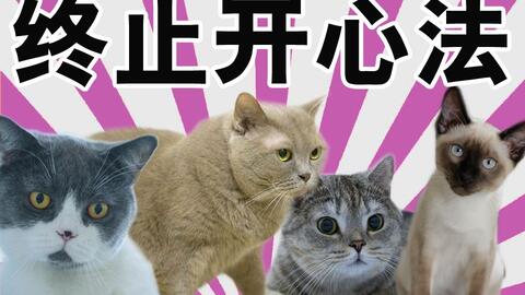 e252ee72b18fbdcdf6124ee10e4aebbee123e8f1.jpg@480w_270h_1c