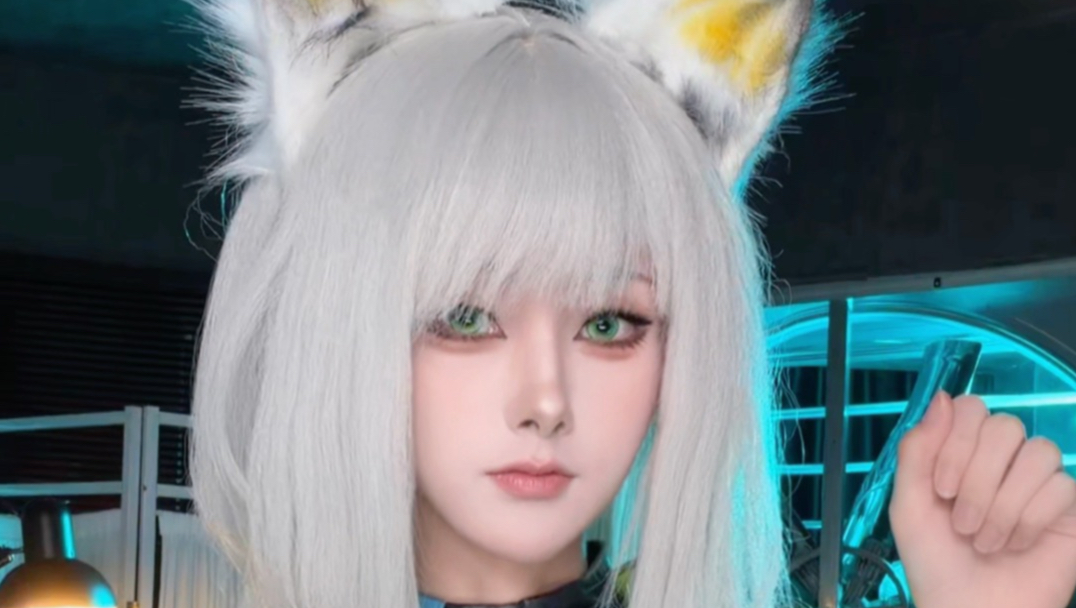 猫说理理我嘛