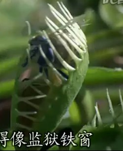 e27a4d01241e082b315a4fcaa2342df9fe51aeb0.jpg