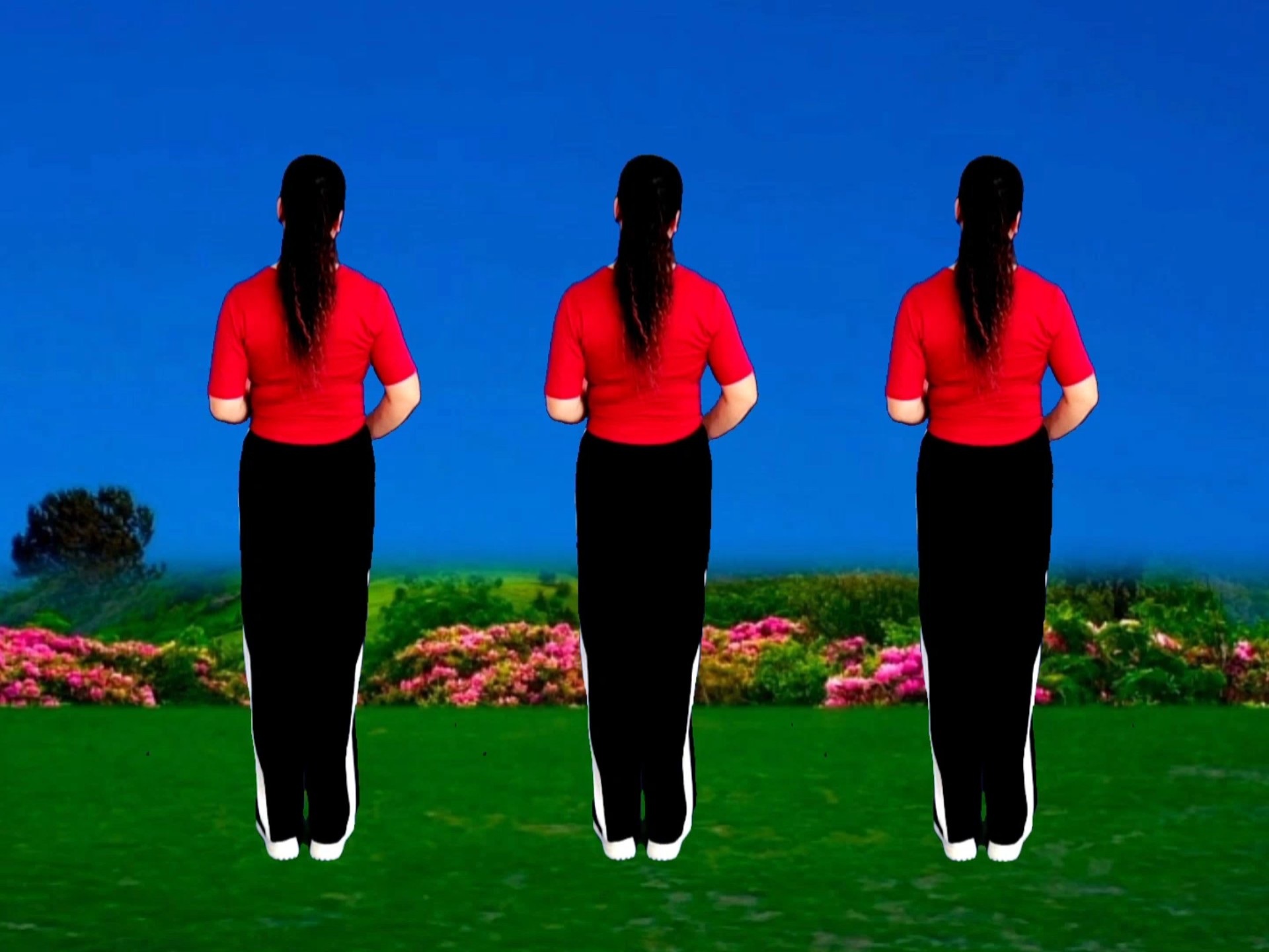 火爆流行广场舞《花都落了怎么美》背面演示，歌醉舞美简单易学