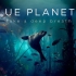 蓝色星球2中文预告片(Blue Planet ll,蓝色星球第二季)