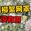 防柳絮网罩，到底有用吗