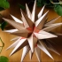 【折纸教程】。一款漂亮折纸花球——Estrellamar