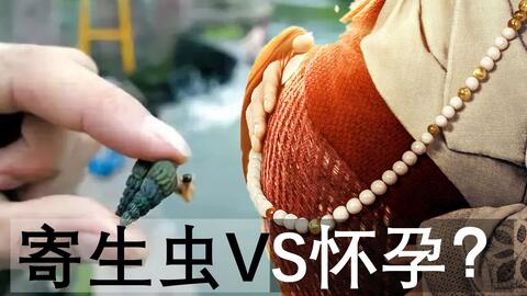 e2b8b18197da319ab92689835d400b255e2db200.jpg@480w_270h_1c