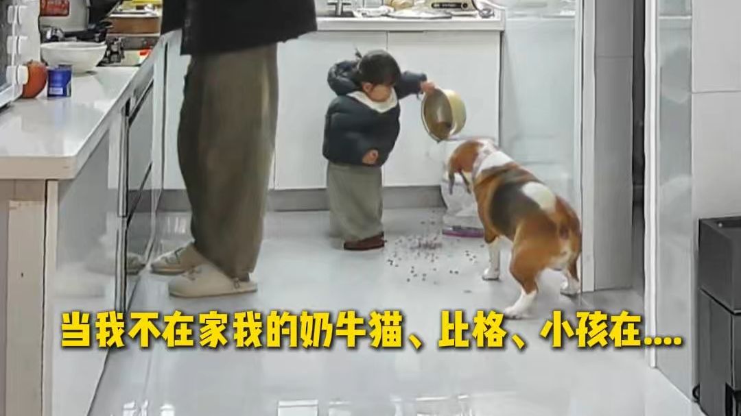 全世界最最好惹的人的一天