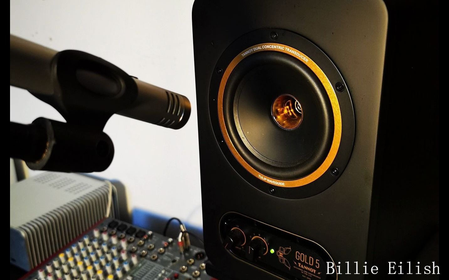 Tannoy Gold5监听箱试听（使用快一年谈谈感想）在简介里-哔哩哔哩