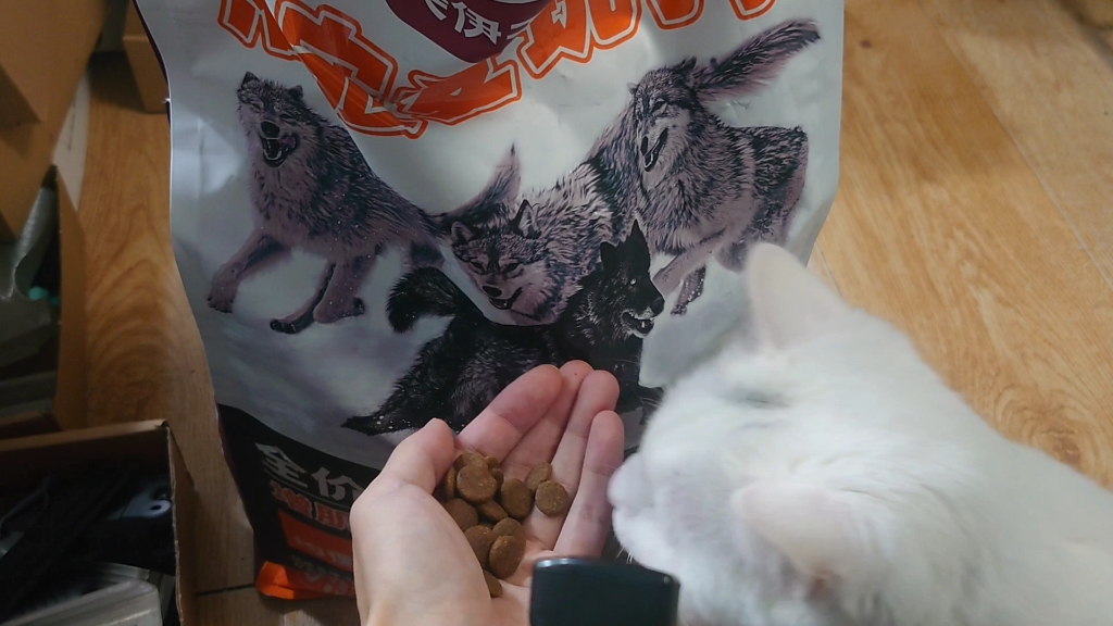给猫买了一包增肌壮骨狗粮哈哈哈哈哈哈