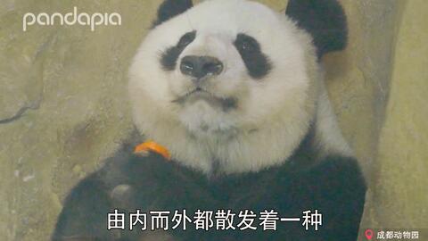 e319ca0e47c504a7e8c109d89e2cfe18ae7170c4.jpg@480w_270h_1c