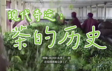 【纪录片】现代奇迹：茶的历史