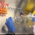 细胞培养、细胞传代、细胞冻存实验技巧