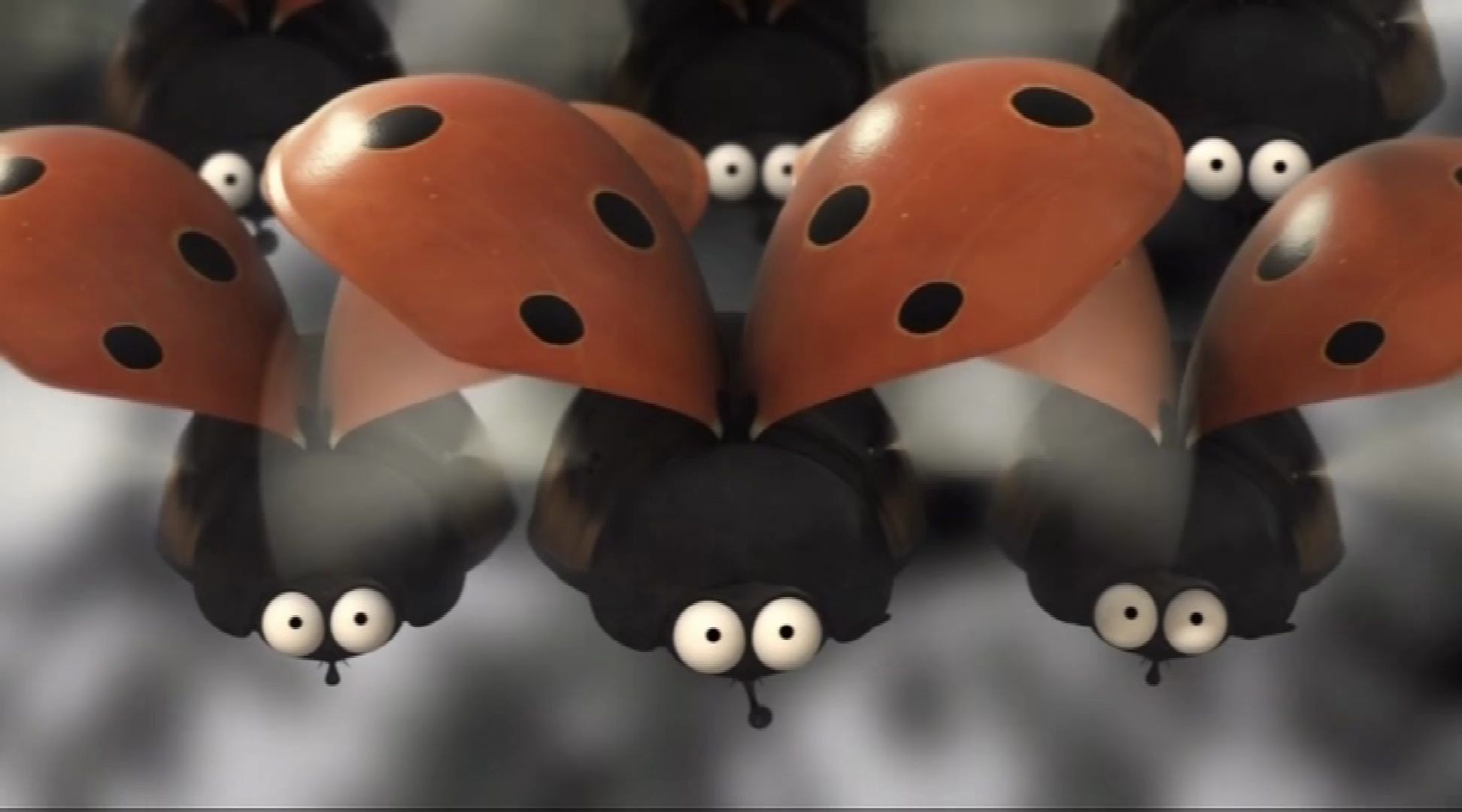 搞笑动画片Minuscule微观小世界昆虫总动员苍蝇与瓢虫之间恩怨二