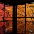 季节变化的风景-京都庭院