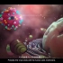 中英字幕[高清 1080P] 3D模型动画解释新型冠状病毒的感染、传播机理