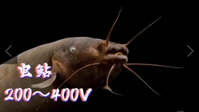 e3419436b00d1f6998bfc59dbad56975c8535d80.jpg@280w_158h_1c_100q.jpg