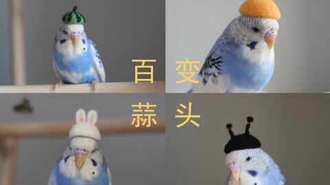 e3452d5e354325c05c4ffa5509579bf74eb0ff9c.jpg@480w_270h_1c