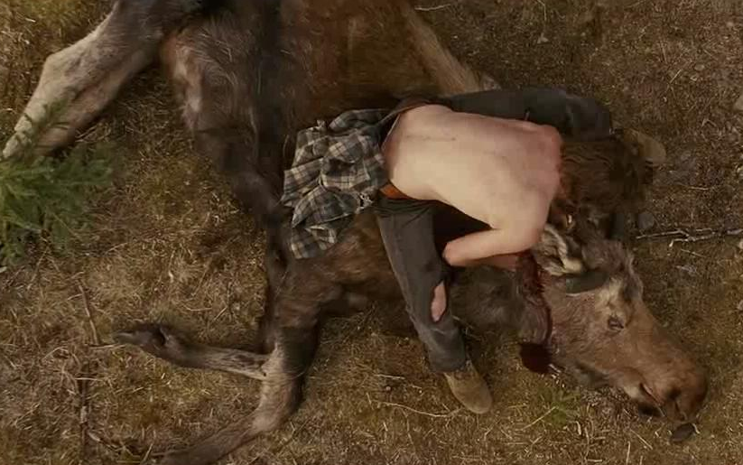 【越哥】22岁大学生仅凭一杆猎枪，在野外生存了800多天，父母不知死活！