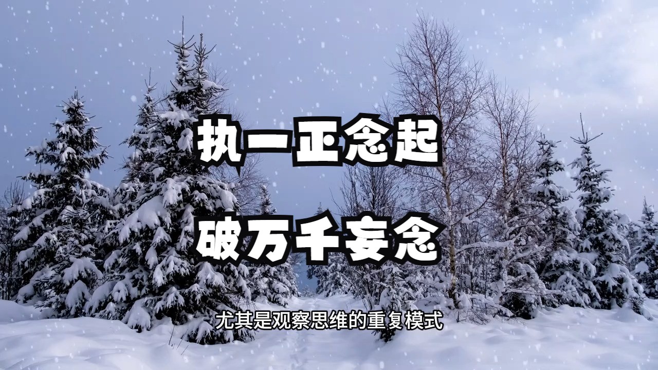 如何终结生活中出现的一切烦恼痛苦呢？99%的人都能轻松学会的顶级心法：执一正念起，破万千妄念！
