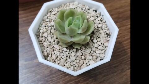 e3832951d02d5f1dfc9feef811b0f3015c20b4d9.jpg@480w_270h_1c