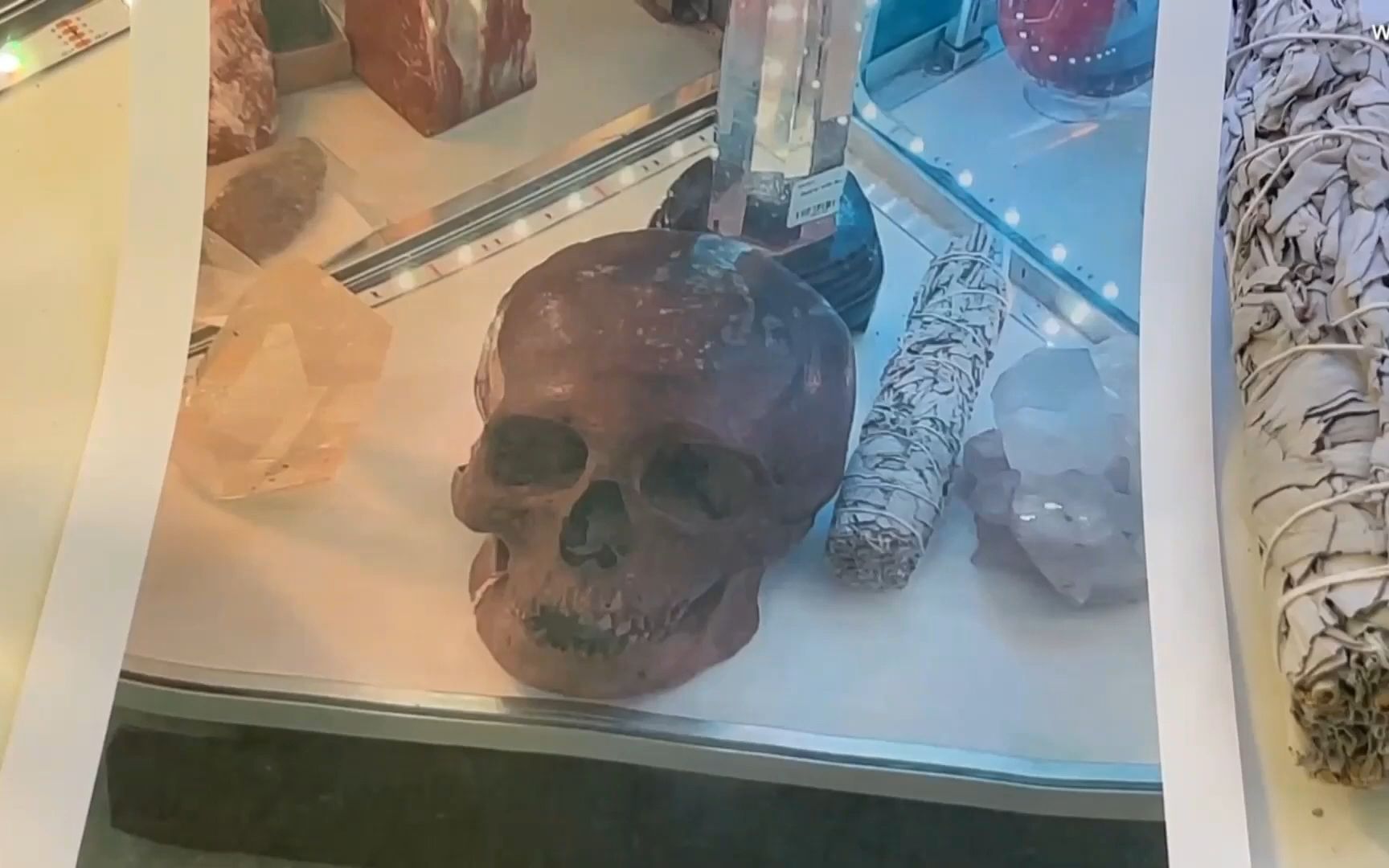 Human Skull Found for Sale in Antiques Market