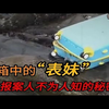 【鸭哥说案】行李箱中的表妹，报案人不为人知的秘密 - 真实案件 - 大案纪实 - 奇闻异事 - 犯罪 - 男女 - 夫妻 - 情杀