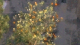 e3acda7c7f140bd88219ab384cc5d01606ad773e.jpg@280w_158h_1c_100q.jpg