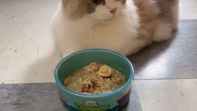 e3c4c0c4c06f0ffe1aa0aead33f9c5467bdf0f15.jpg@280w_158h_1c_100q.jpg