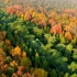 航拍中山陵秋色：层林尽染，秋色迷人