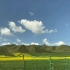 青甘环线 祁连山大草原 最美的风景在路上！