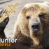 装死黑熊荣获年度奥斯卡#4|theHunter: Call of the Wild™猎人 野性的呼唤打猎模拟器